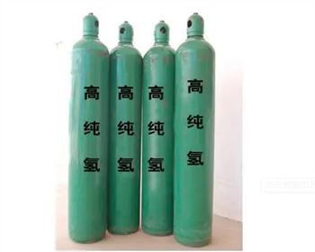 熱式質(zhì)量流量計在高純氣體流量測量中的應用